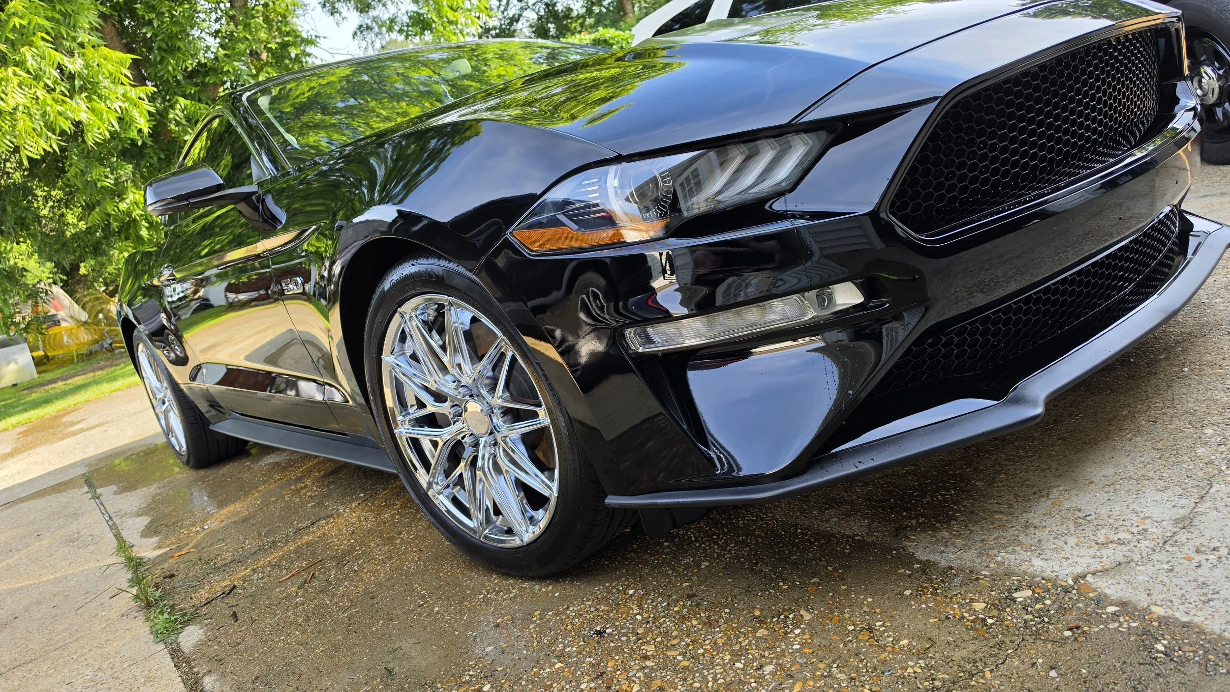 Black sedan car parked outdoors on a wet driveway with green trees in the background, reflecting the surroundings on its shiny surface.