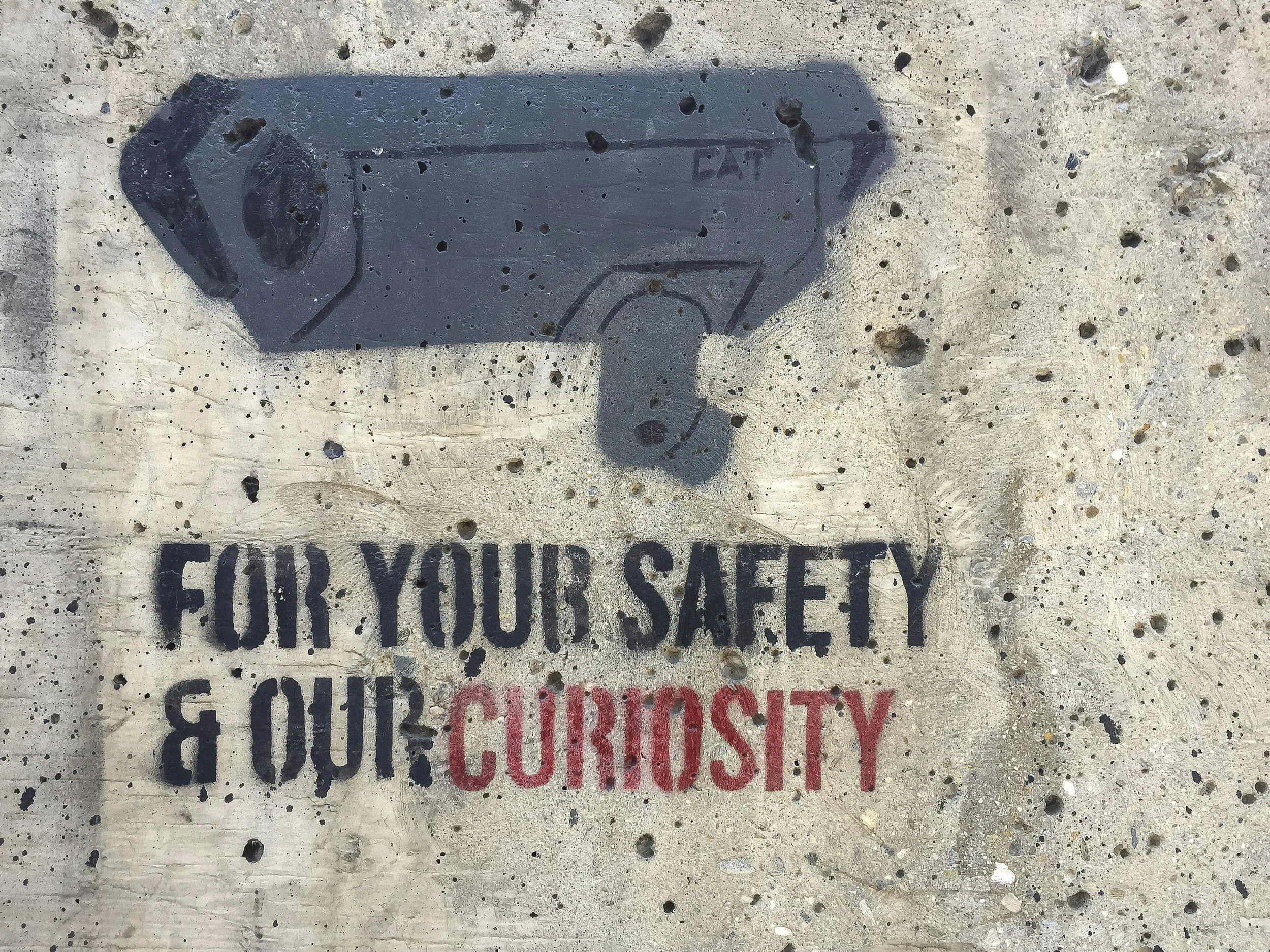 A weathered safety sign painted on a concrete surface. The sign shows a camera.  Below, there are words that say 'FOR YOUR SAFETY AND OUR CURIOSITY' with some parts of the text faded or covered by dirt and wear.
