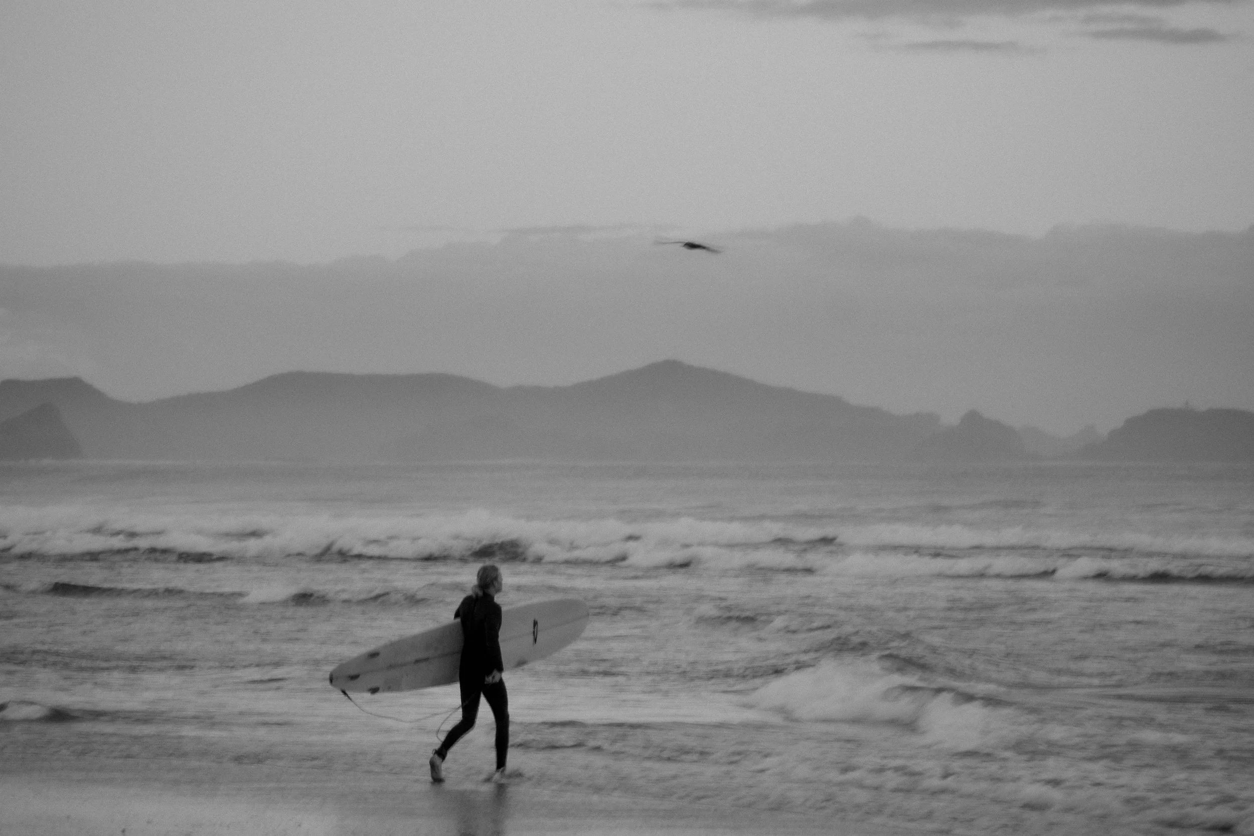 DSC_0186.jpg