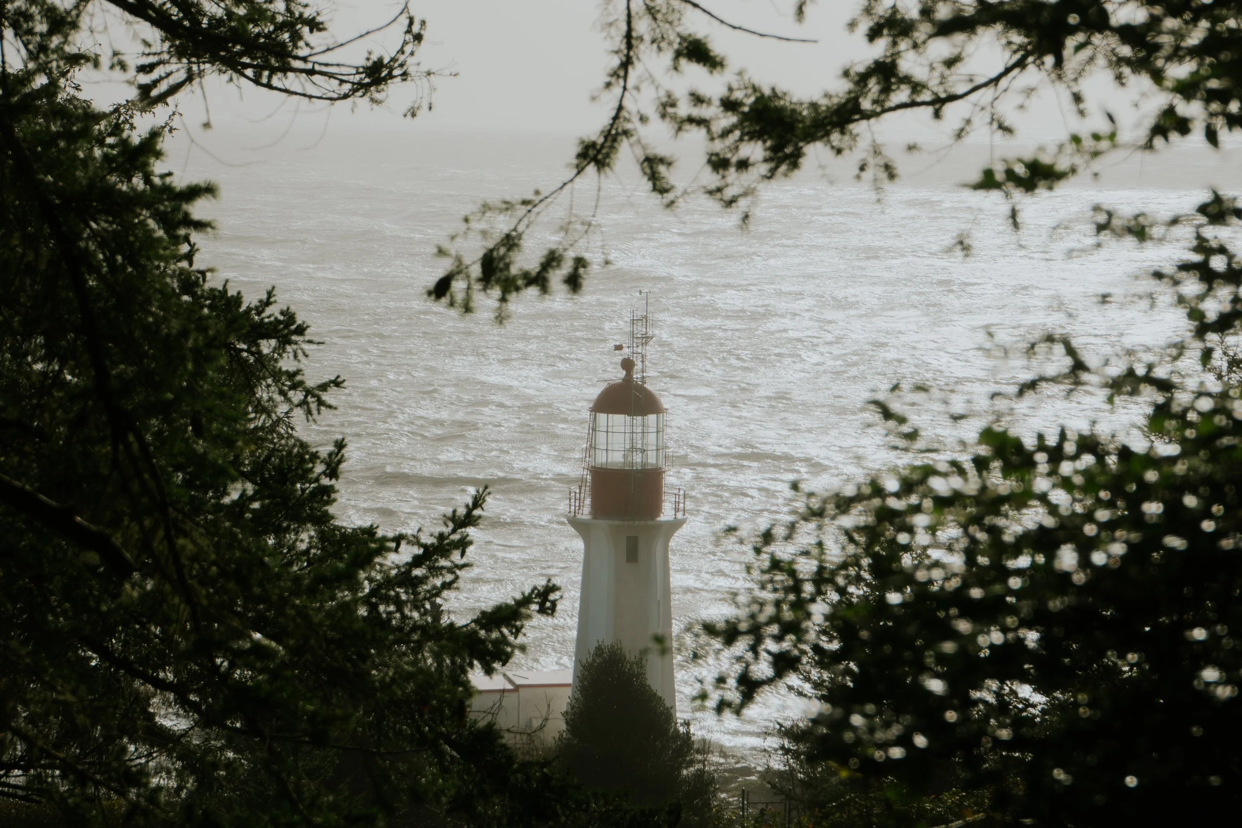 DSC08052.jpg