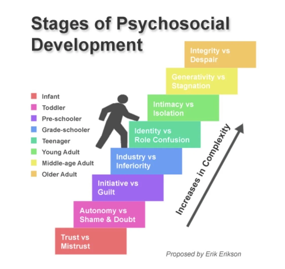 Diagram showing stages of psychosocial development from infancy to older adulthood, with color-coded categories and increasing complexity marked by an upward arrow. Erik Erikson