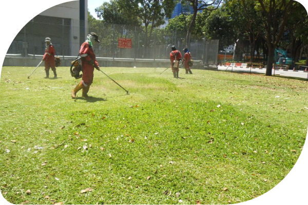 Workers in red uniforms and hats mowing a grassy field with string trimmers, trees in background.