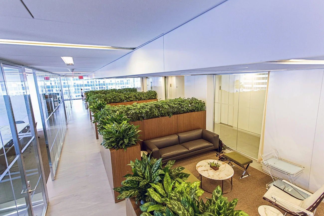 Interior view of an office with a lounge area, plants, glass walls, and a hallway leading to an exit.