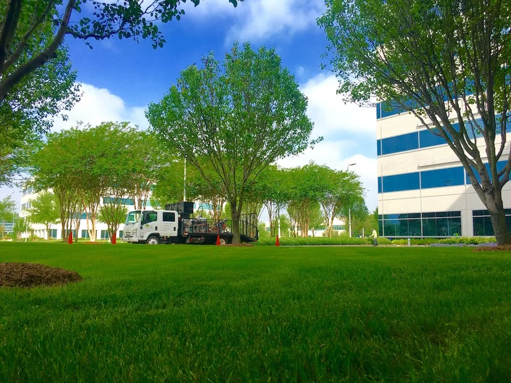 A lush green lawn with several trees and a modern office building in the background. A white truck is parked on the grass, and there are orange traffic cones around it. The sky is mostly clear with some clouds.