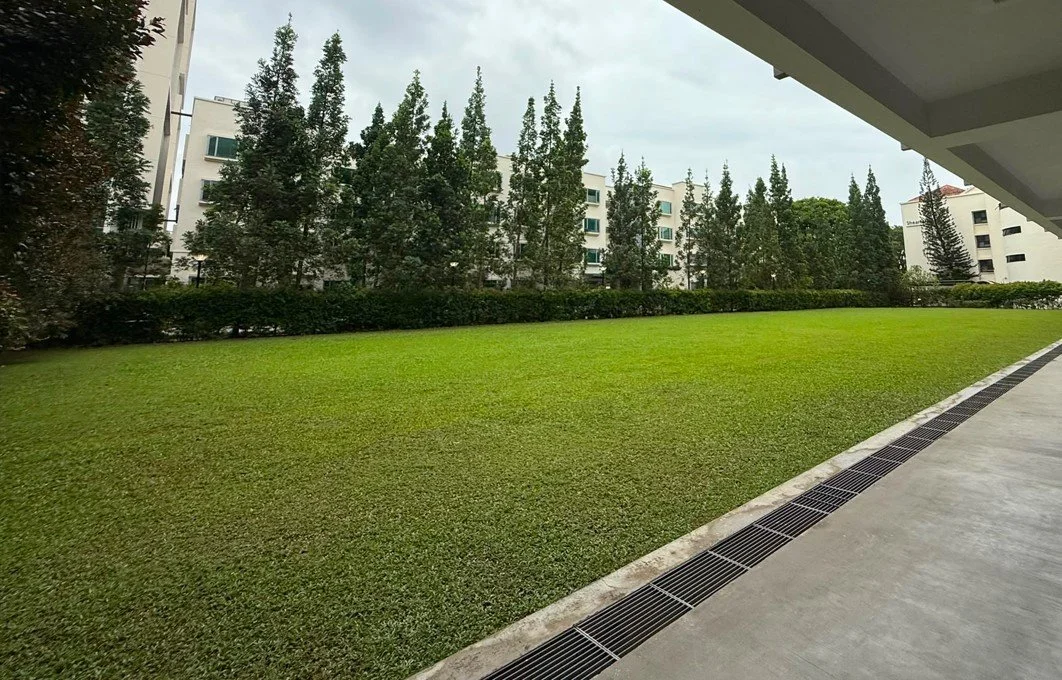 A green lawn surrounded by tall trees and white apartment buildings, seen from a covered patio area with a drainage grate on the ground.
