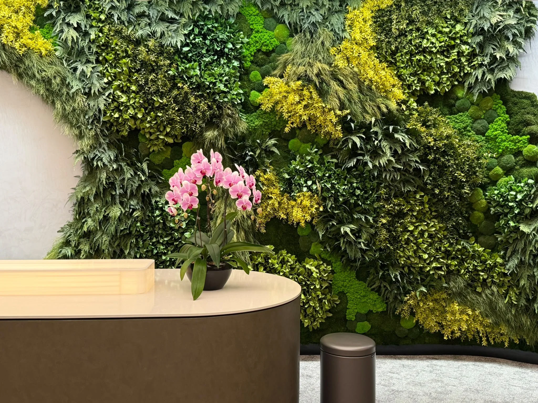 Decorative green wall with various types of plants, and a pink orchid in a black pot on a counter in front.