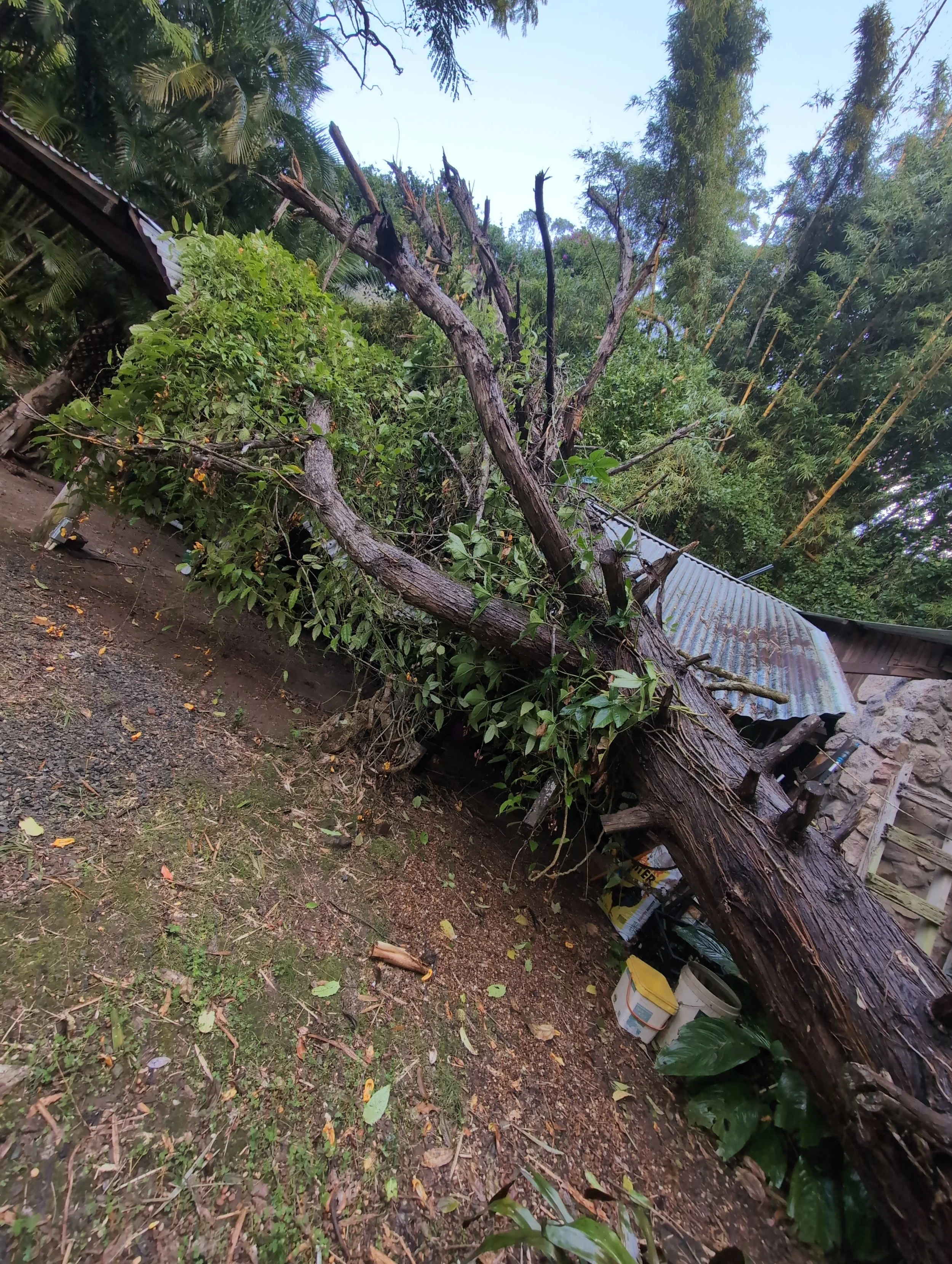 storm damage