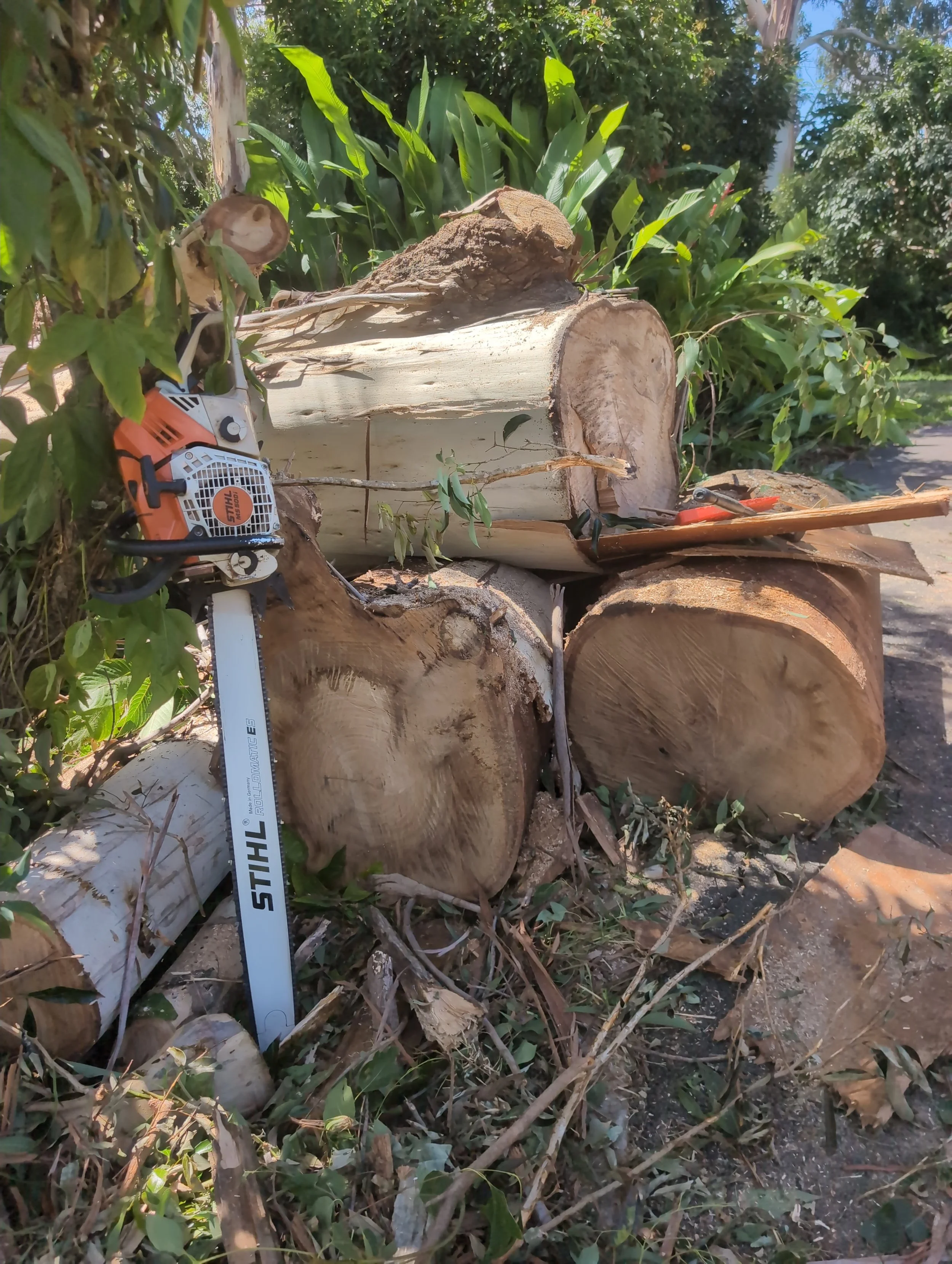 chainsaw cutting
