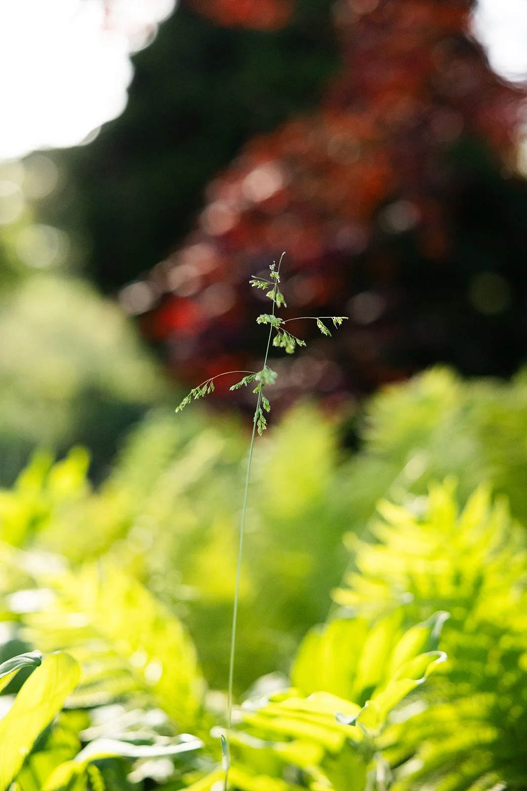 Holger Kollmer - Nature.jpg