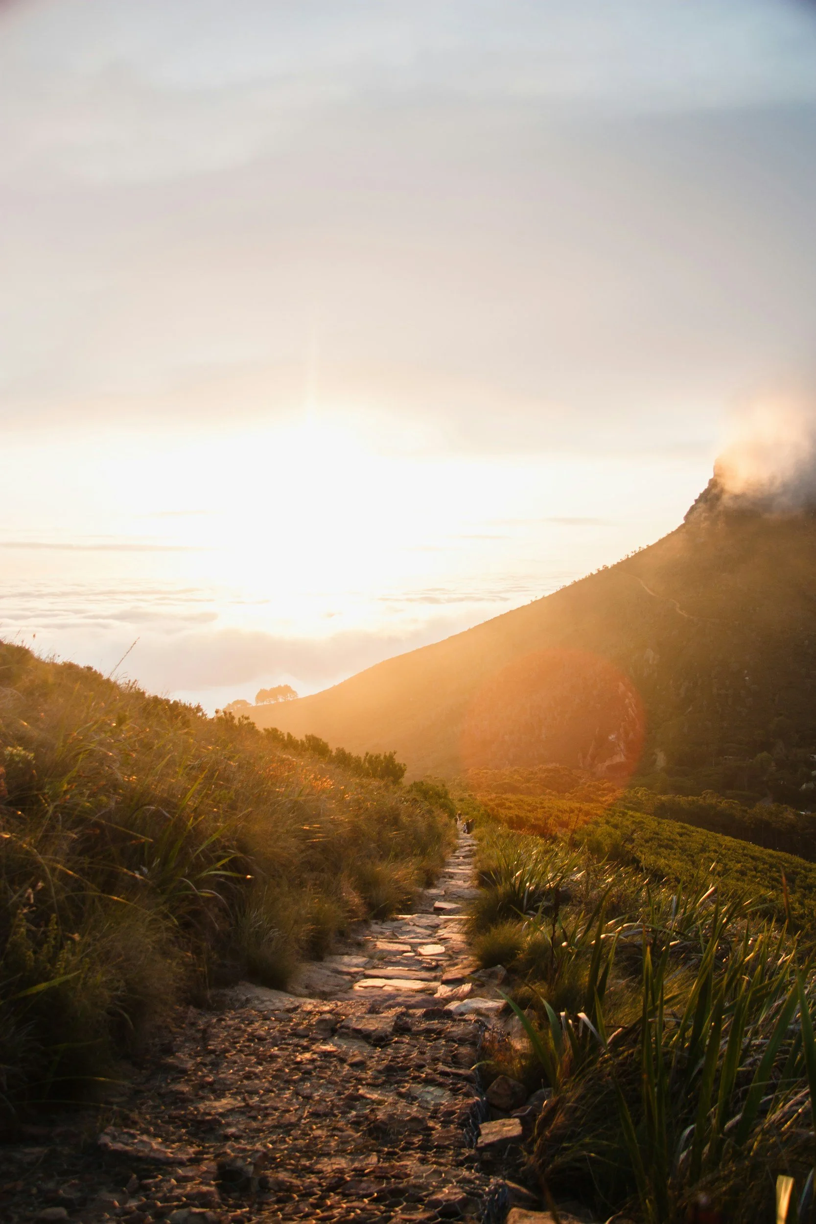 A scenic mountain landscape during sunrise with a rocky trail in the foreground, lush green vegetation on the sides, and a mountain with a steam or smoke cloud rising from it in the background.