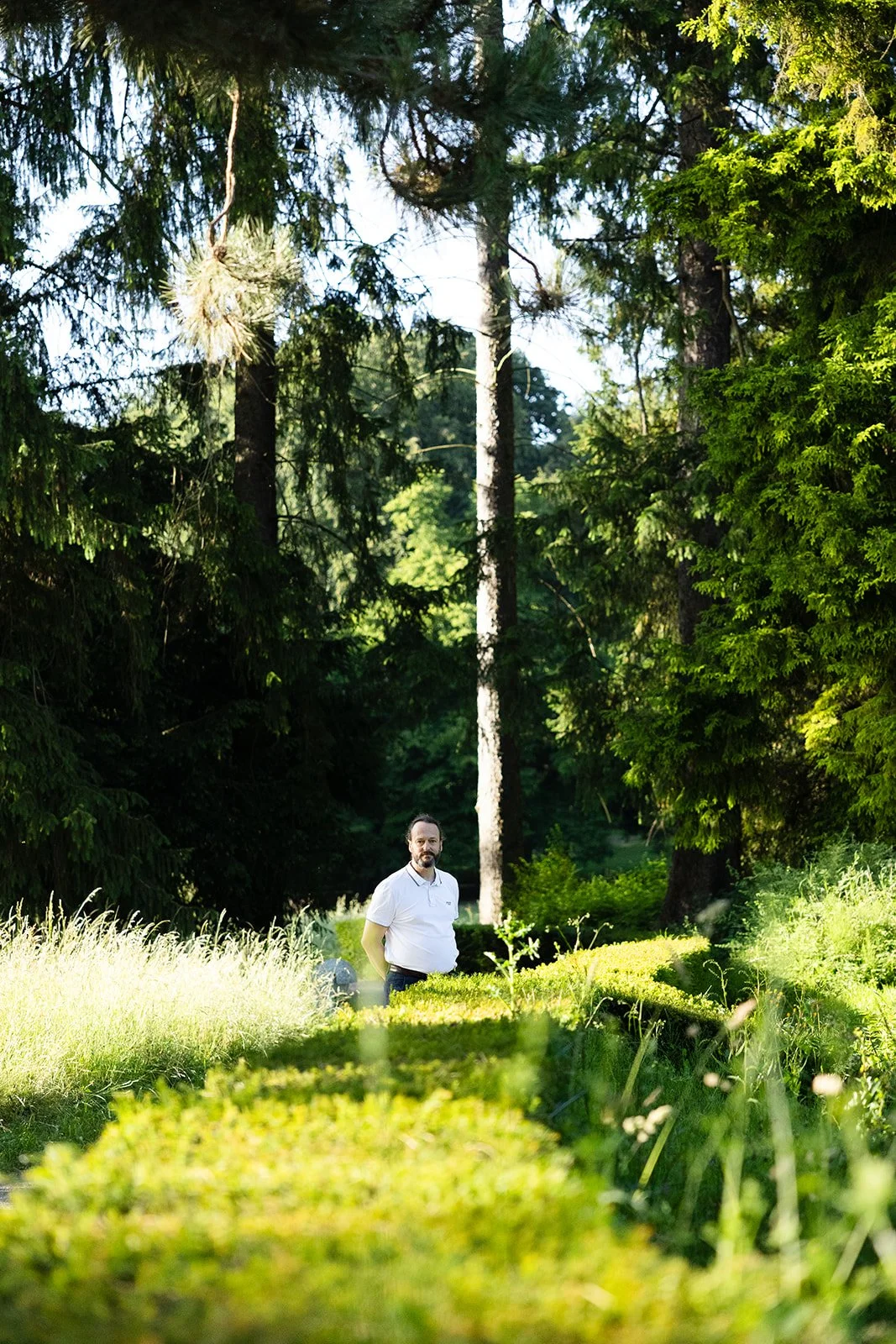 Holger park.jpg