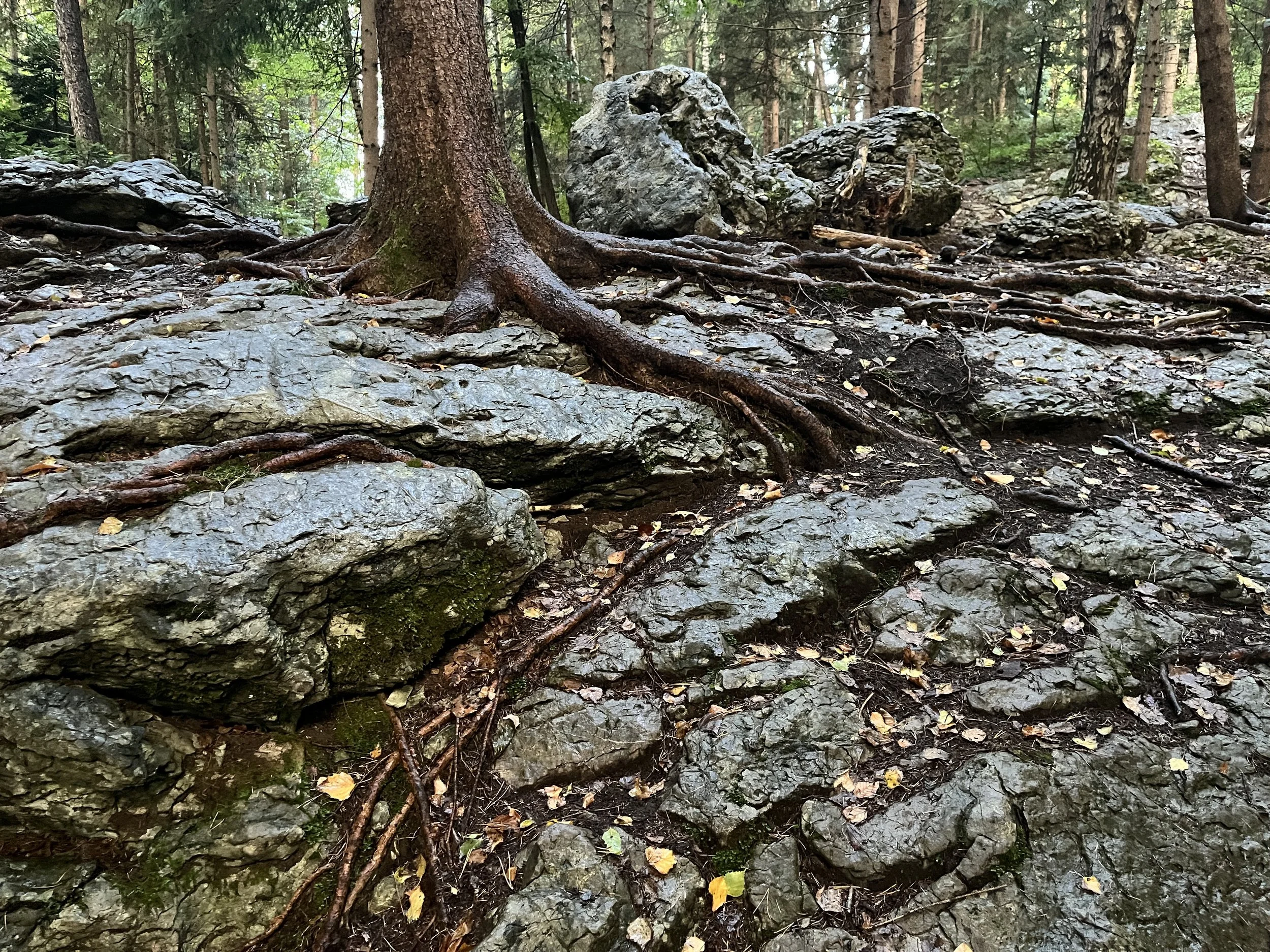 Finding Your Ground