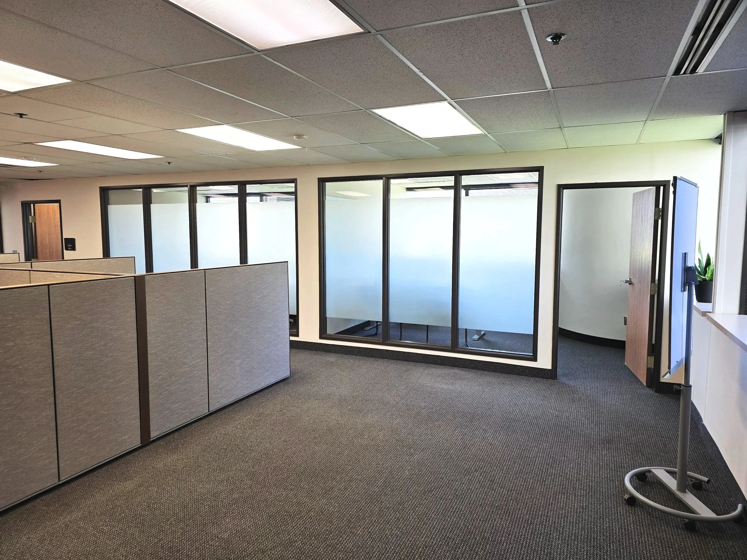 Interior view of an office with cubicles, gray partition walls, glass doors, and ceiling fluorescent lights.