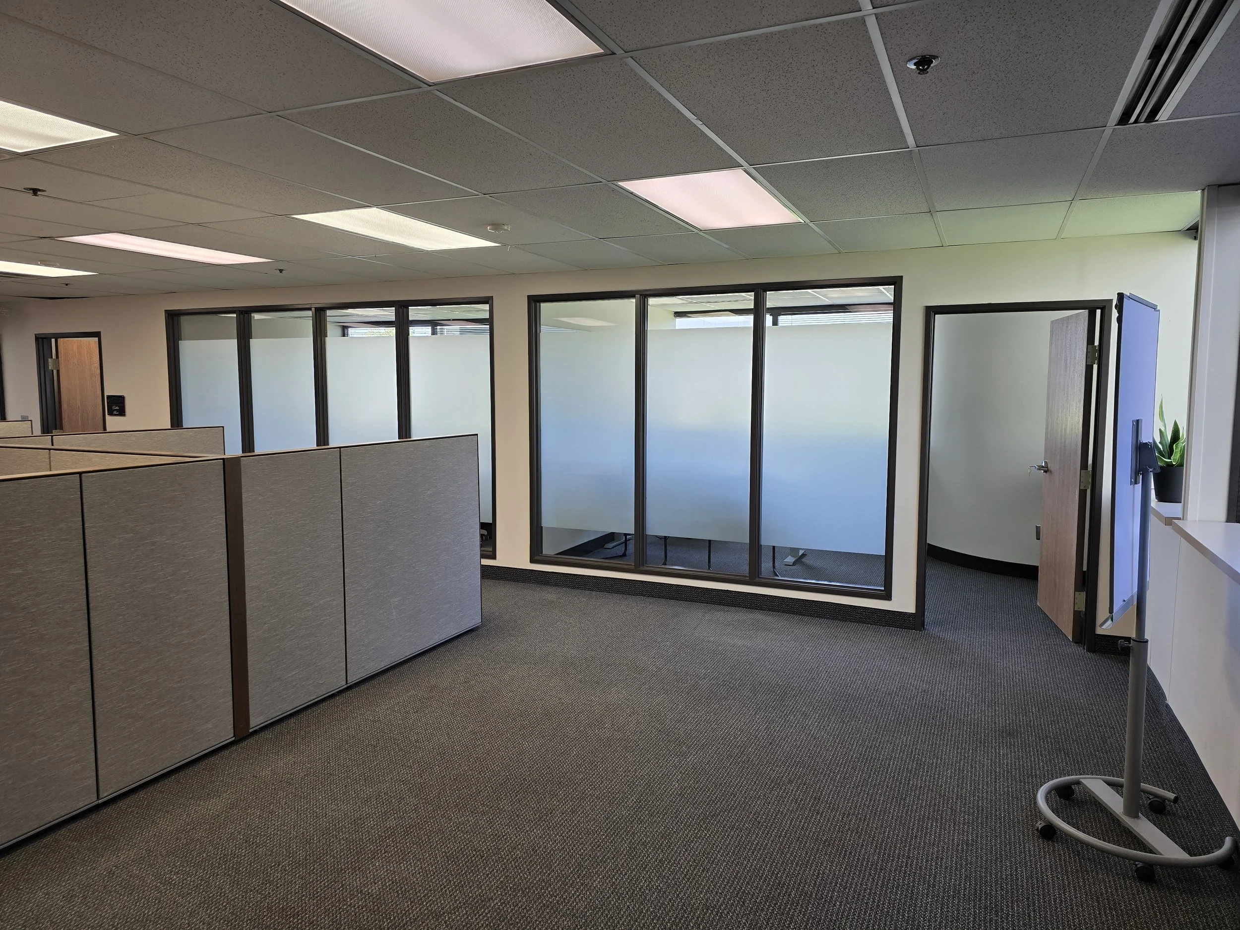 An office space with gray cubicles, frosted glass partition walls, overhead fluorescent lighting, and a gray carpeted floor. There is a rolling stand with a green plant in a pot near a white wall.