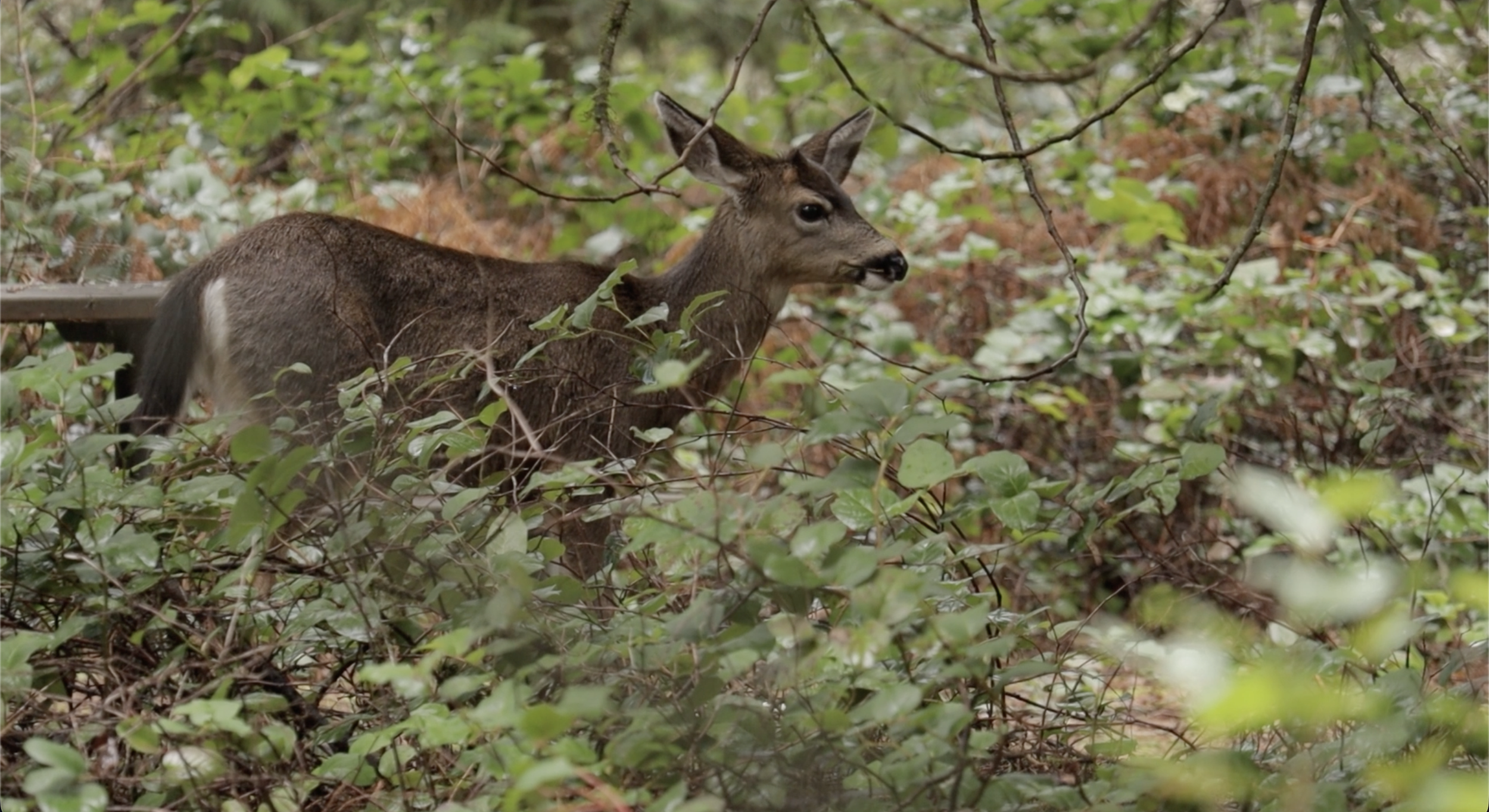Making New Friends BTS on Between Worlds