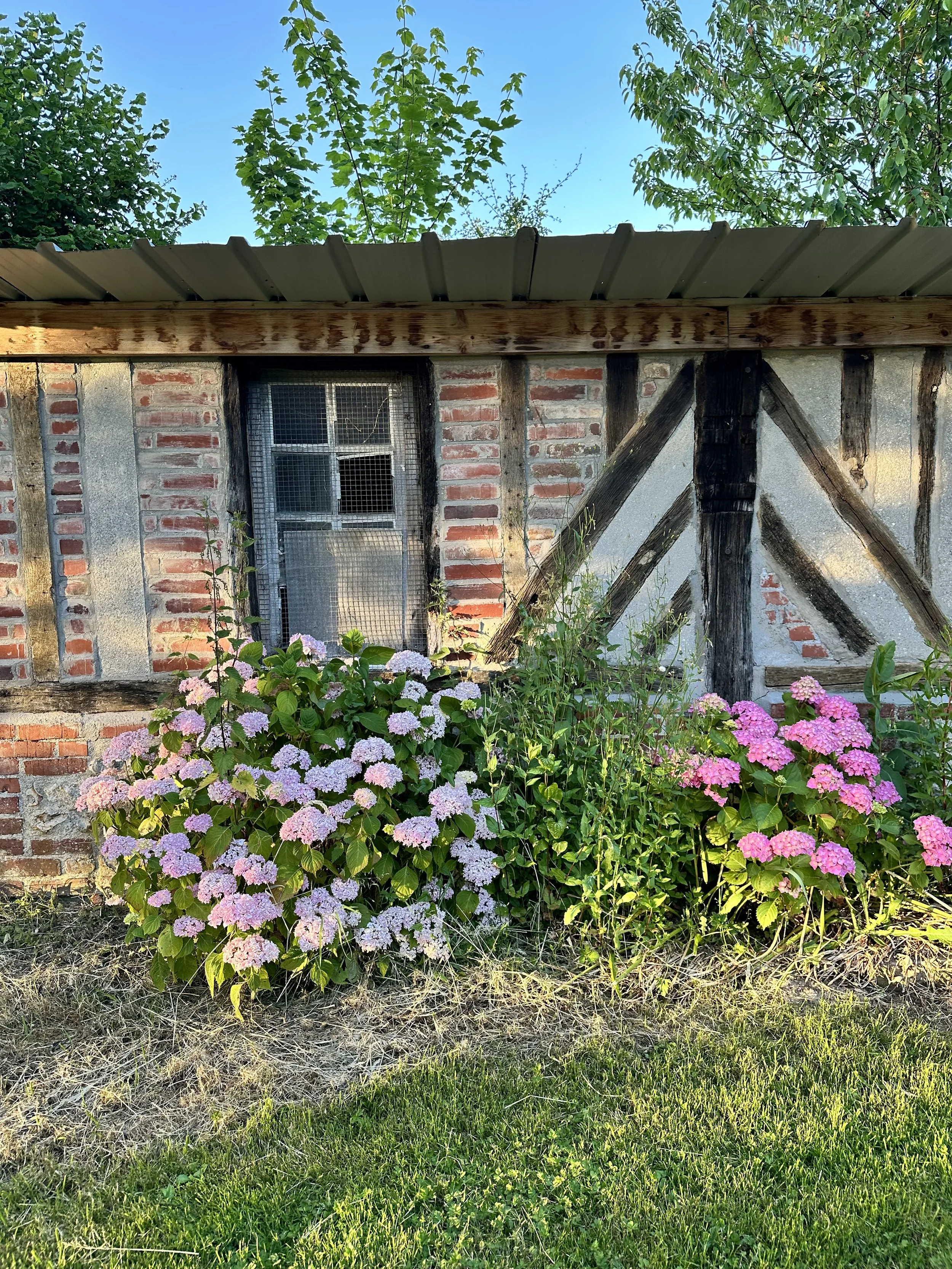 IMG_0962.jpeg