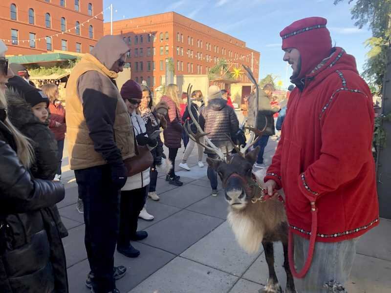reindeer1.jpeg