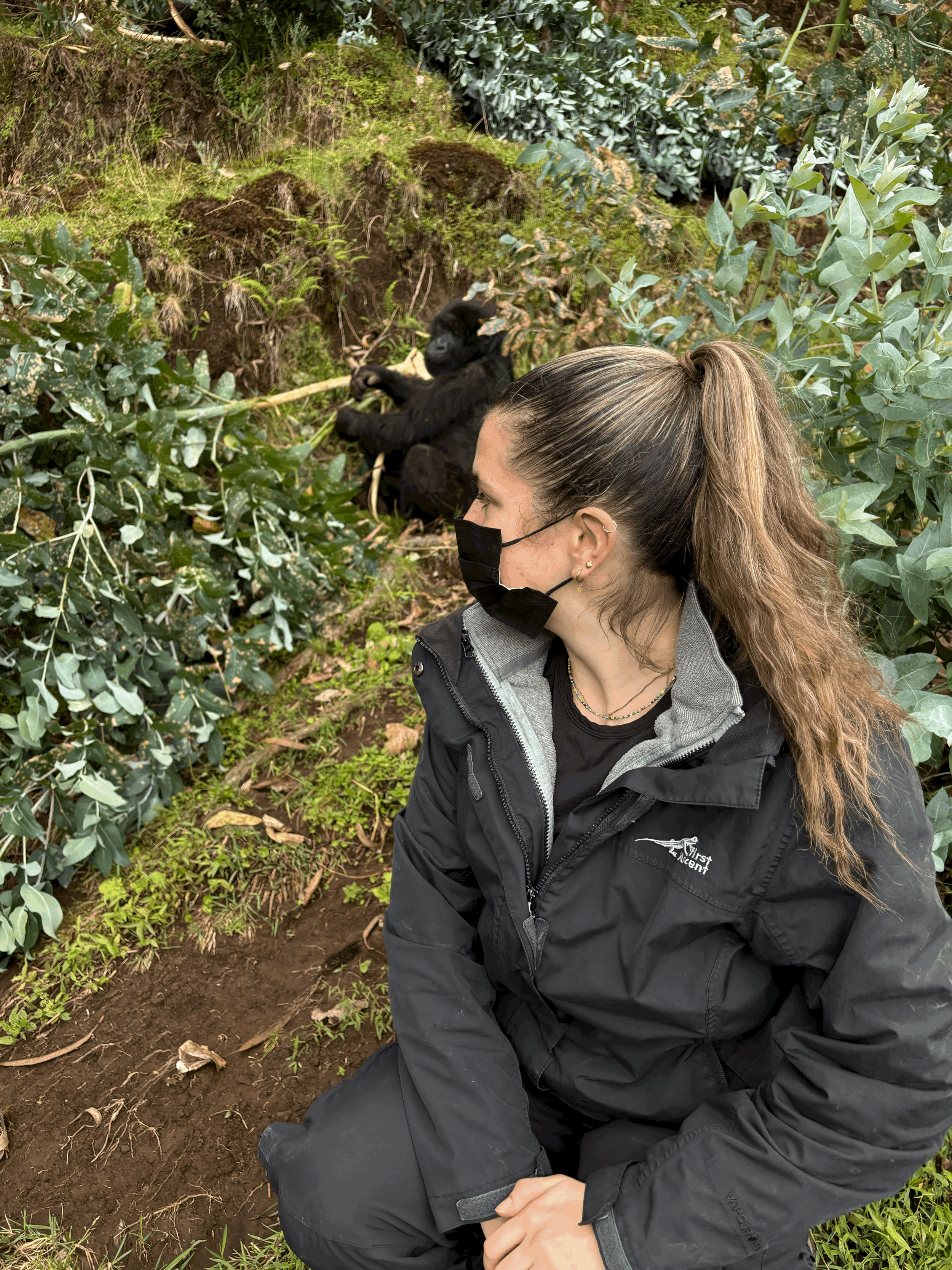 In the Presence of Giants: Gorilla Trekking in Rwanda