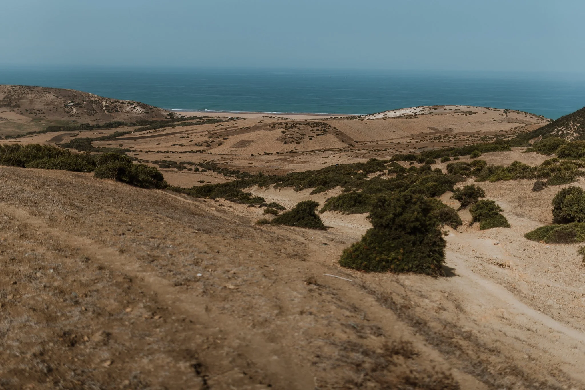 Hilly coastal landscape with dry, grassy fields, scattered shrubs, and an ocean in the background under a clear sky.