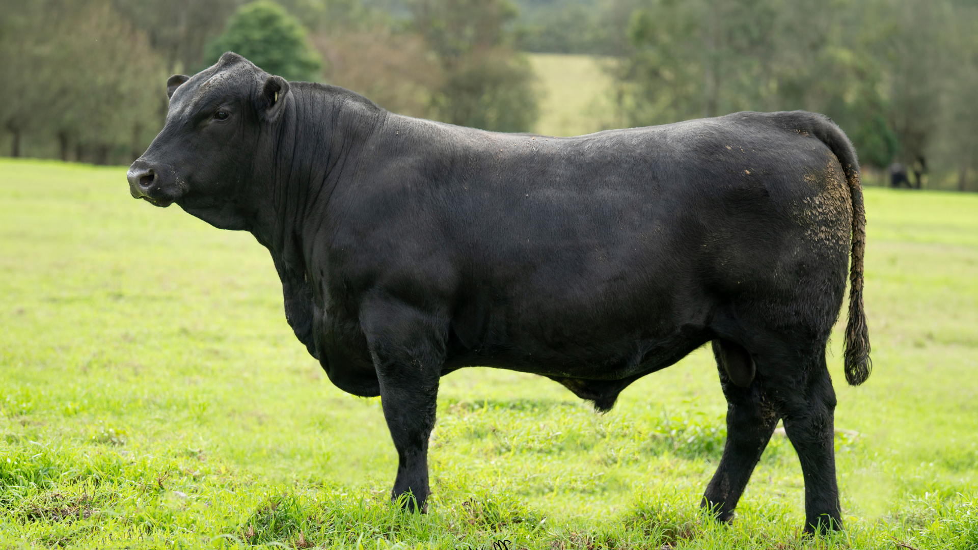 Lot 23