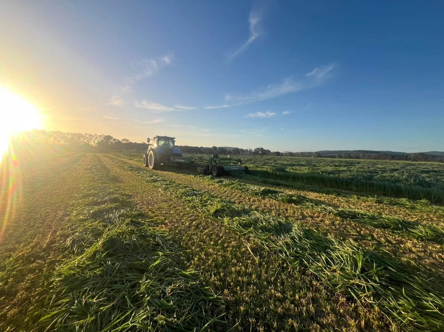 Silage making begun today!! Hopefully some nice much needed rain on the way for everyone, once we have it baled!!
