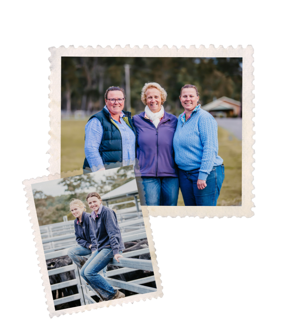 The Boambee Angus family on the property in East Seaham, NSW, reflecting the people behind the stud and its breeding program.