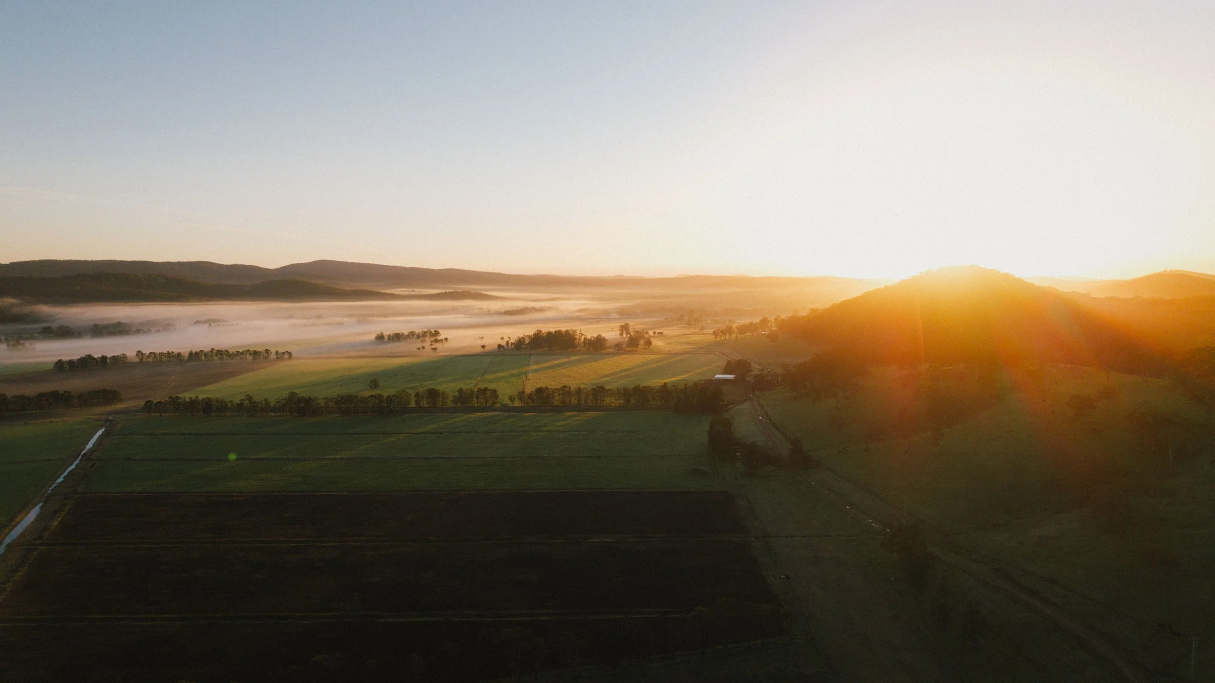 Sunrise over Boambee Angus in East Seaham, NSW, showcasing rolling grazing country and the property where the annual Angus bull and female sale is held.