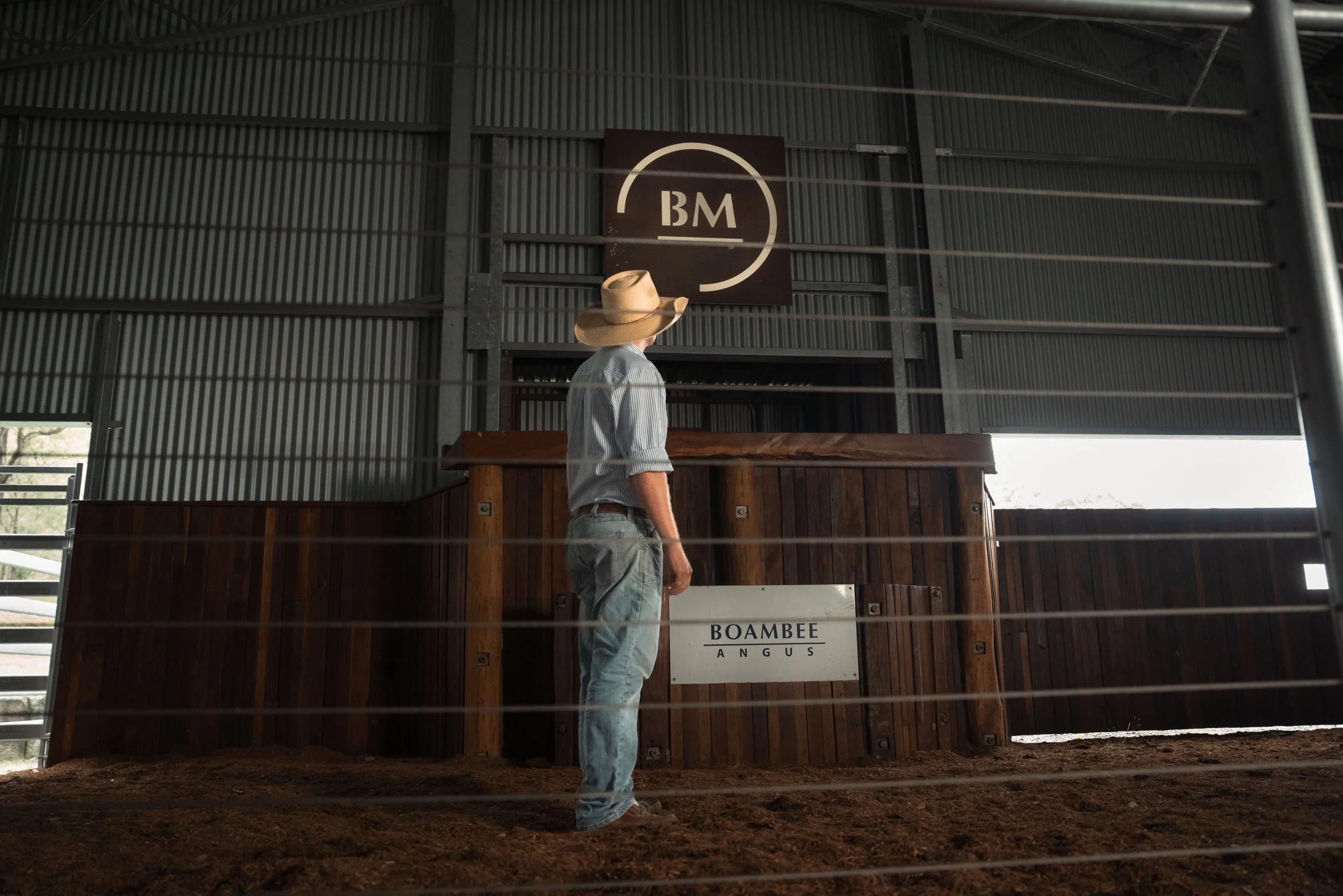 A person with a cowboy hat and striped shirt standing inside a barn, looking toward a sign that reads 'Boambee Angus,' with a large 'BM' logo above it. The barn has metal walls and a dirt floor, and there are wires or bars in the foreground.