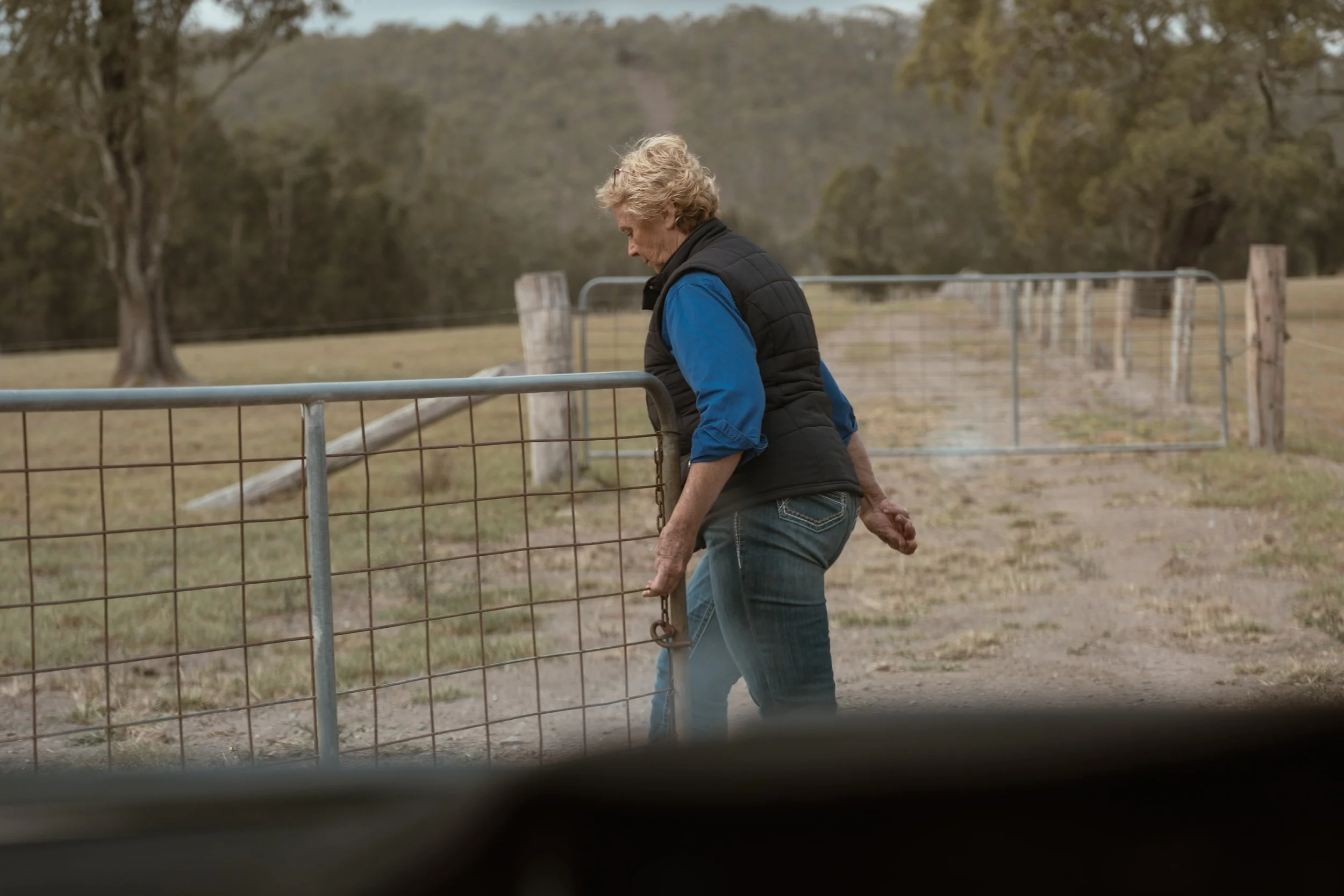 Margo Duncan opening a gate on the Boambee Angus property in East Seaham, NSW, reflecting the stewardship and legacy of the family breeding program.