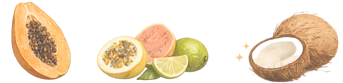 Frutas tropicales como papaya, maracuyá, zapote, limón, lima y coco.