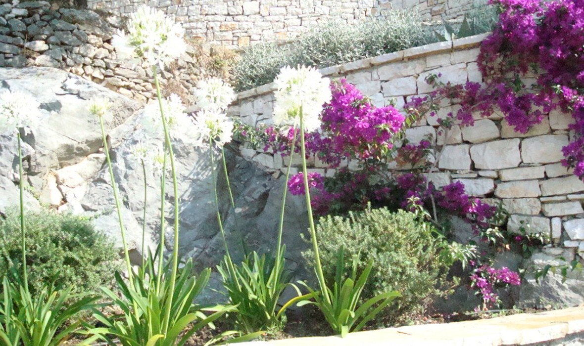 3_The Boat House_Skoposdesign_Garden.JPG