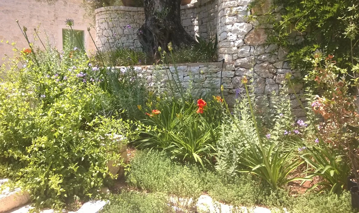 Arcadia_Corfu_Skoposdesign_Garden Planting 2.jpg