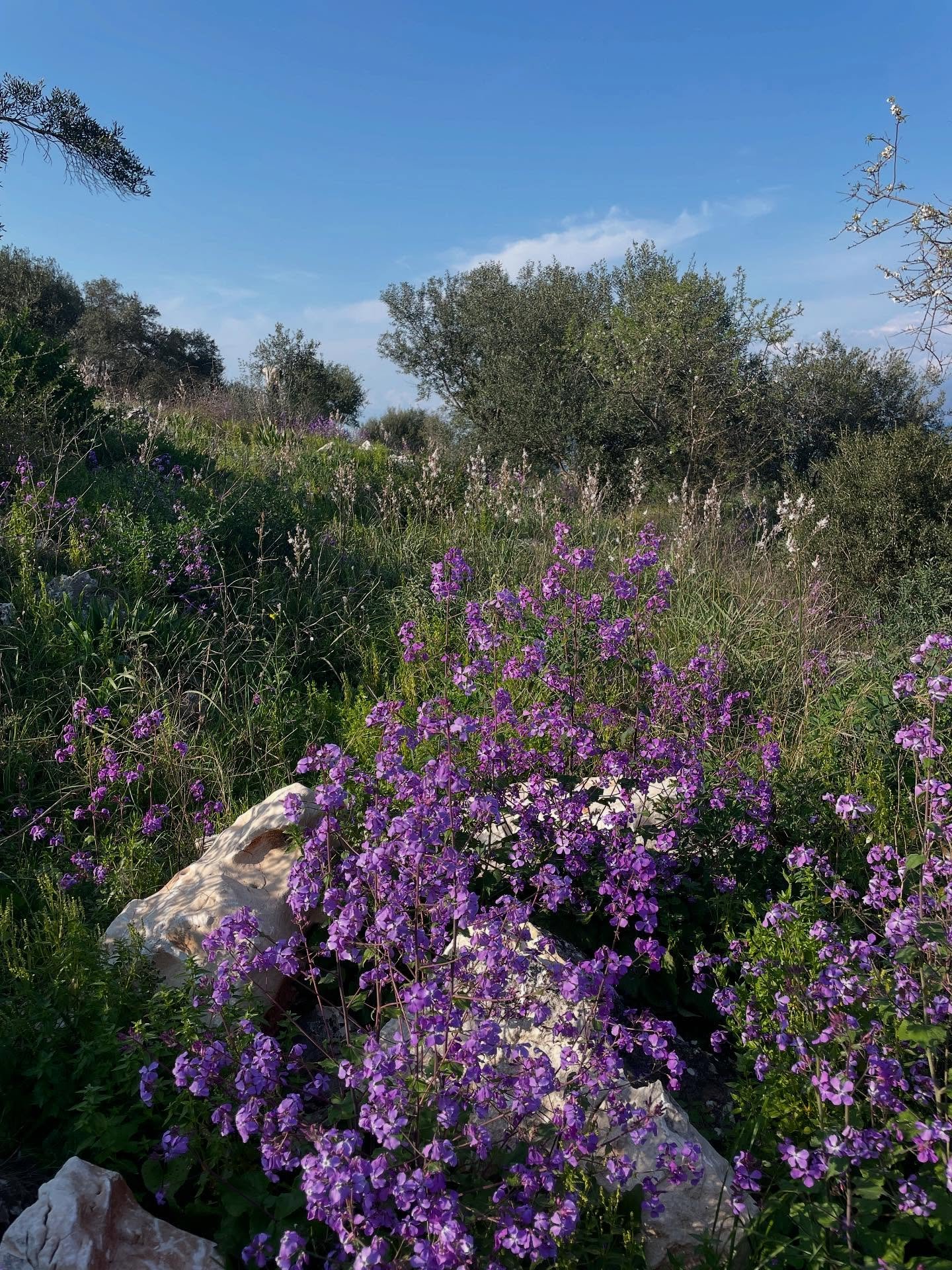 march jobs on the wonderful island of corfu