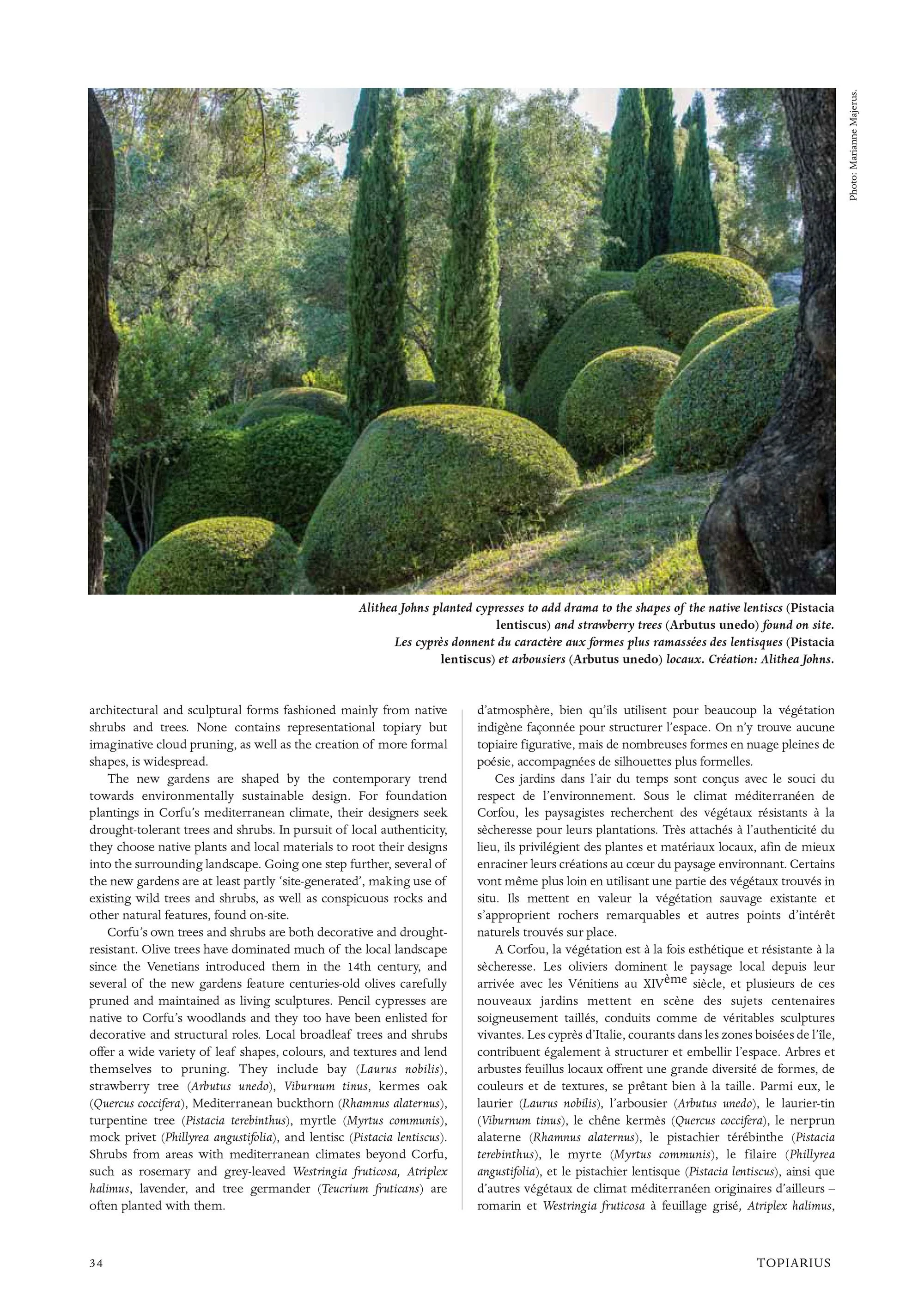 page-34.jpg