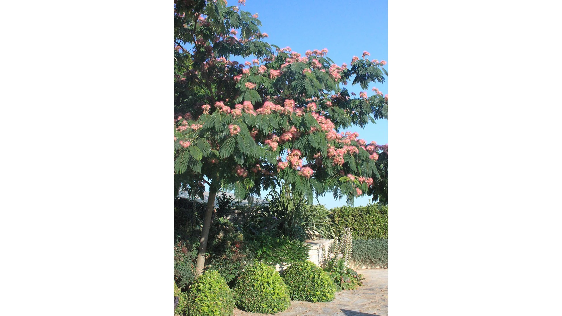villa-daphne-03.jpg