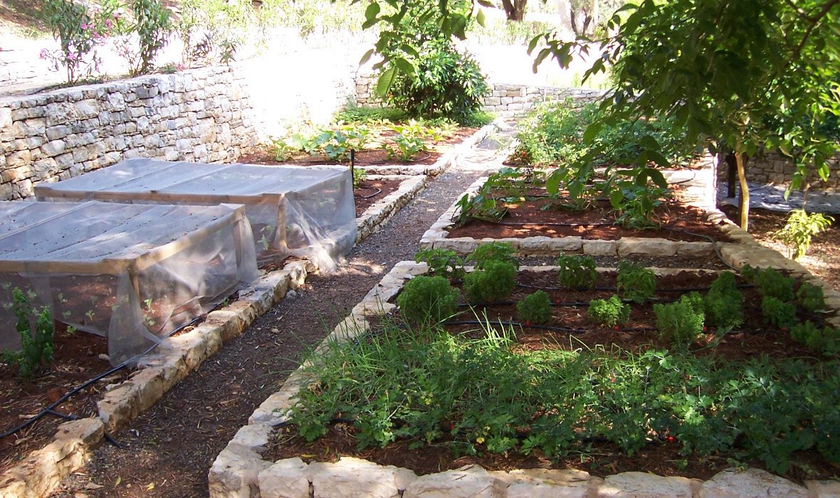 2_Villa Nafsika_SkoposDesign_Vegatable Plot.jpg