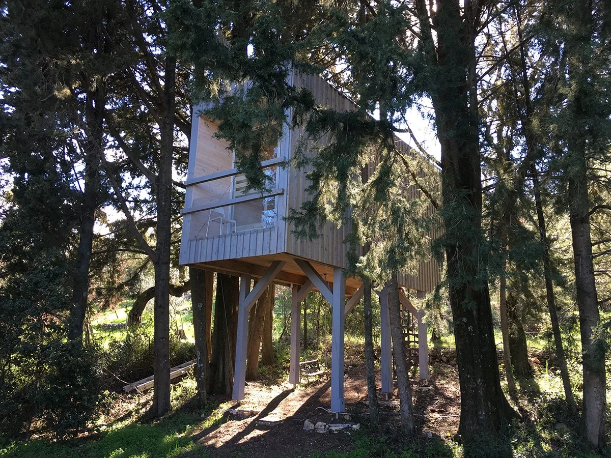 Tree House