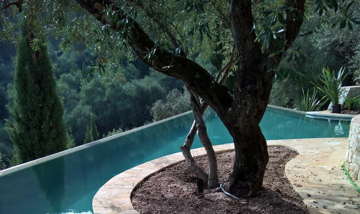 Arcadia_Corfu_skoposdesign_infinitypool.jpg