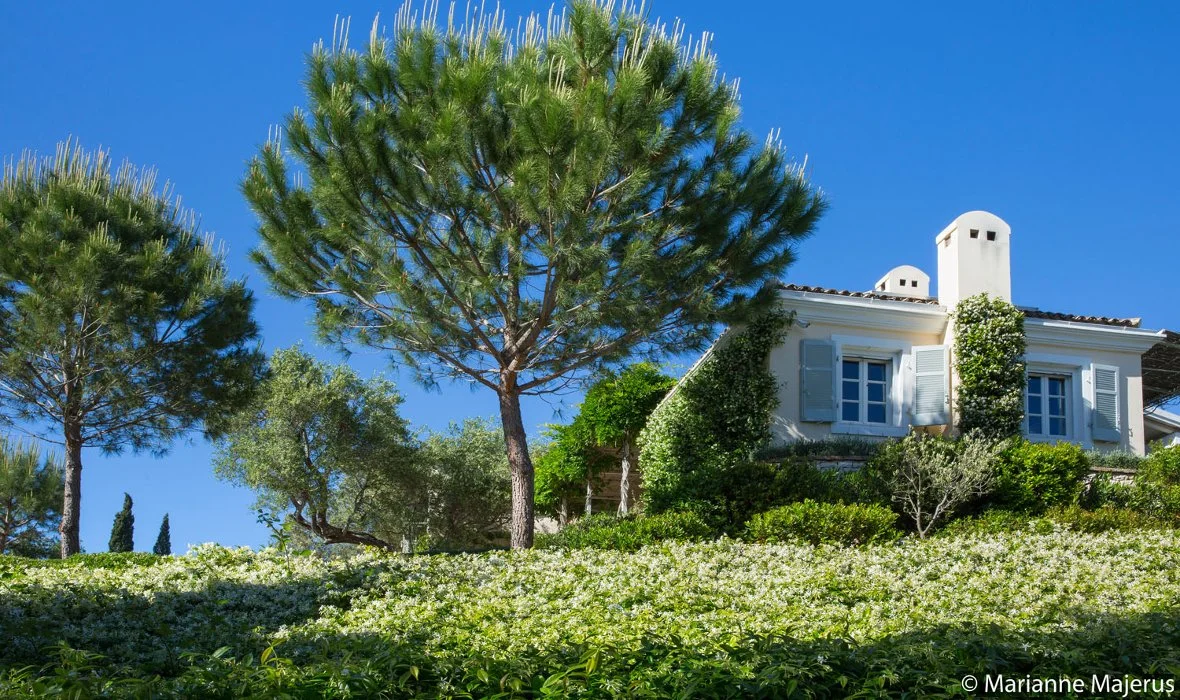 Skoposdesign_Bellerbe_Corfu_09.jpg