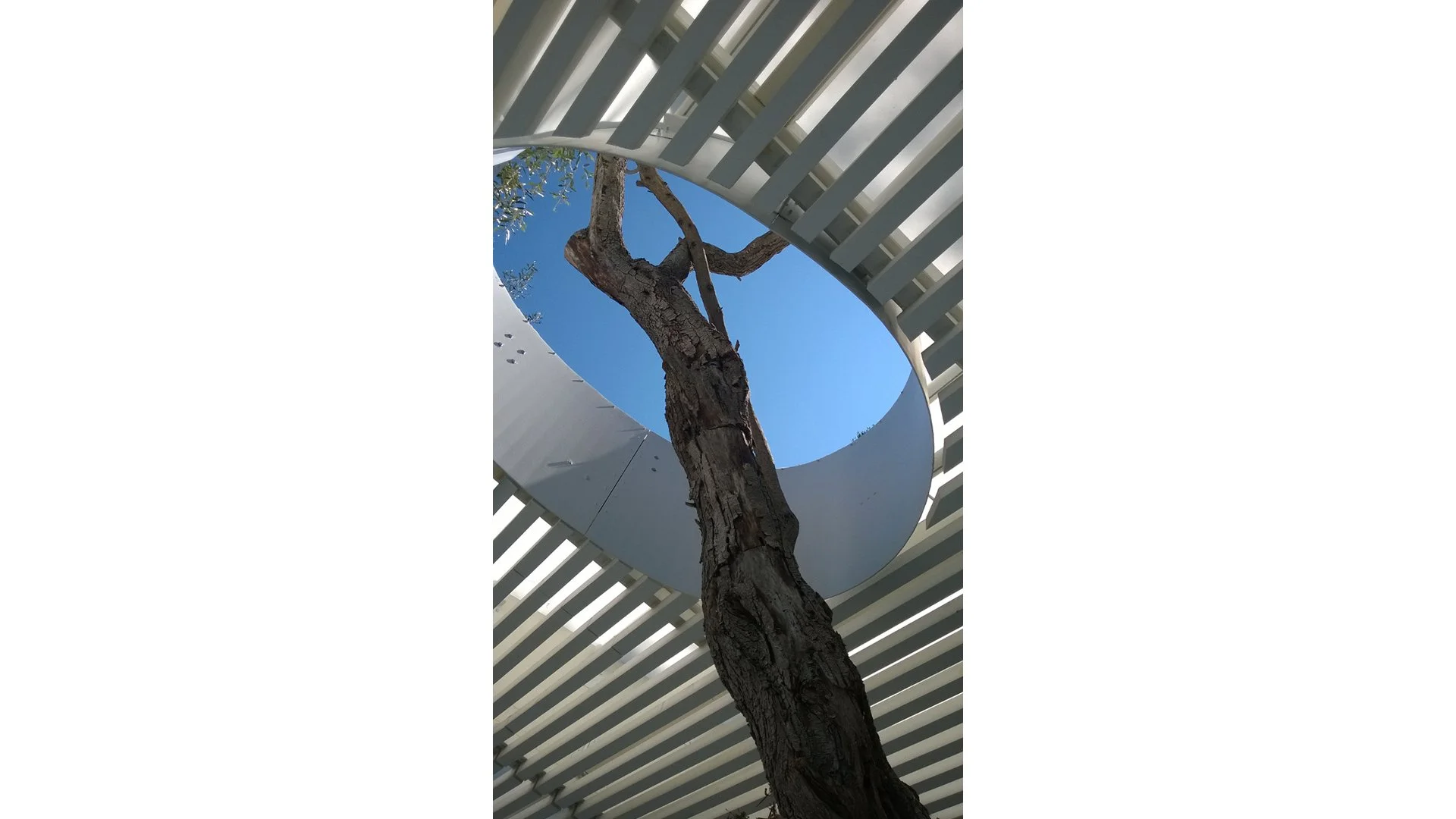 pentati_corfu_gardendesign_8.jpg