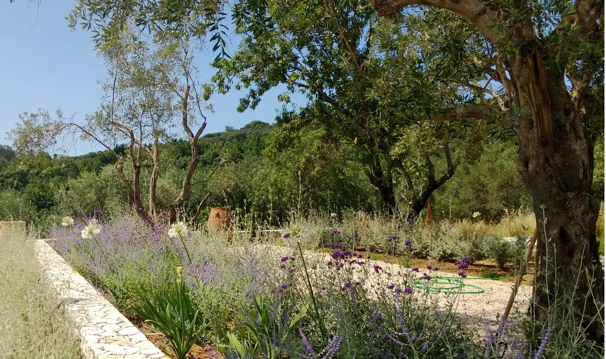 3b_Villa Koukos_Skoposdesign_Garden.jpg