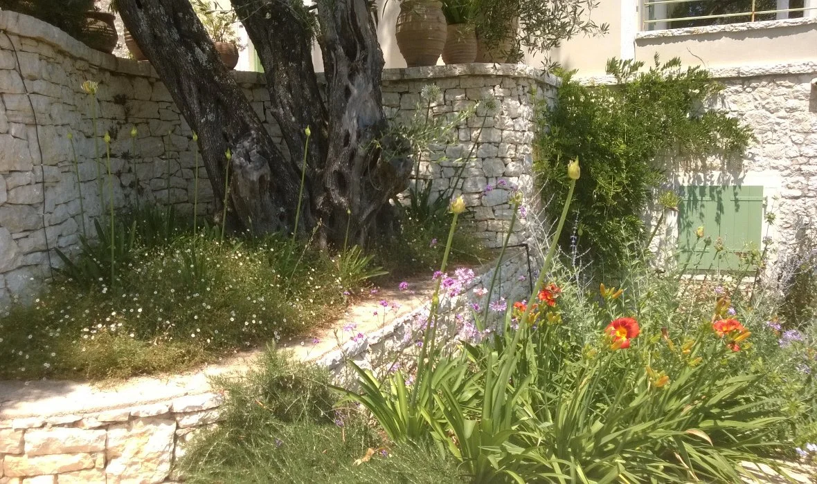 Arcadia_Corfu_Skoposdesign_Garden Planting.jpg