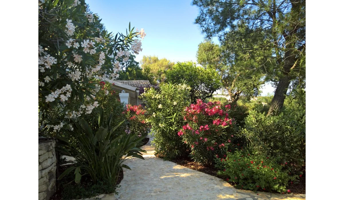 9_Villa Petroti_Skoposdesign_Plants.jpg