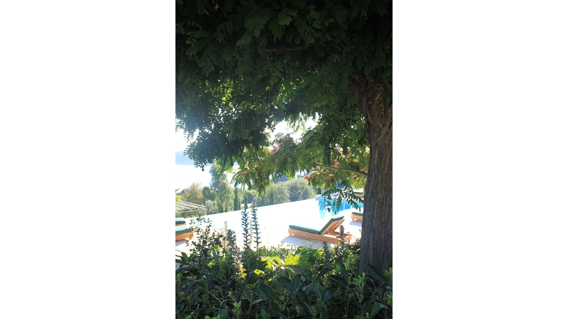 villa-daphne-02.jpg