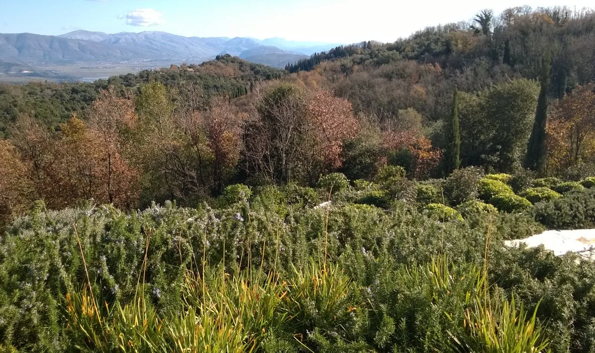 6_Villa Koukos_Skoposdesign_Landscape.jpg