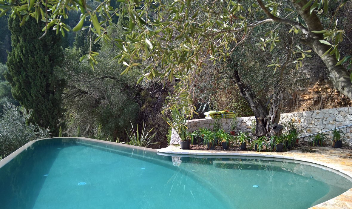 Arcadia_Corfu_skoposdesign_olive trees_pool.jpg
