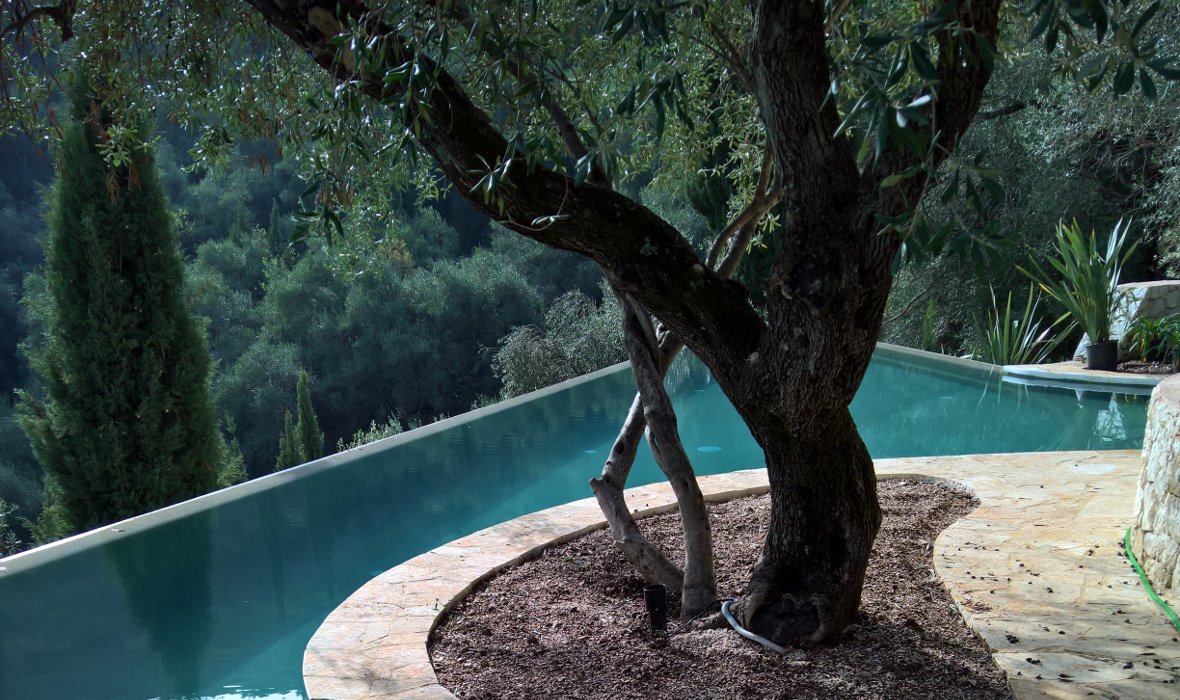 Villa Arcadia
