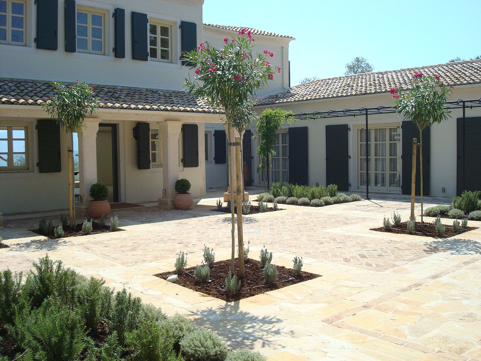 2_PV-Agios-Stephanos_Robinsons_House_Tree.JPG