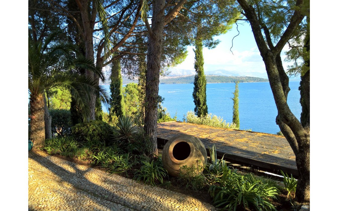 10_Villa Petroti_Skoposdesign_Olive Trees.jpg