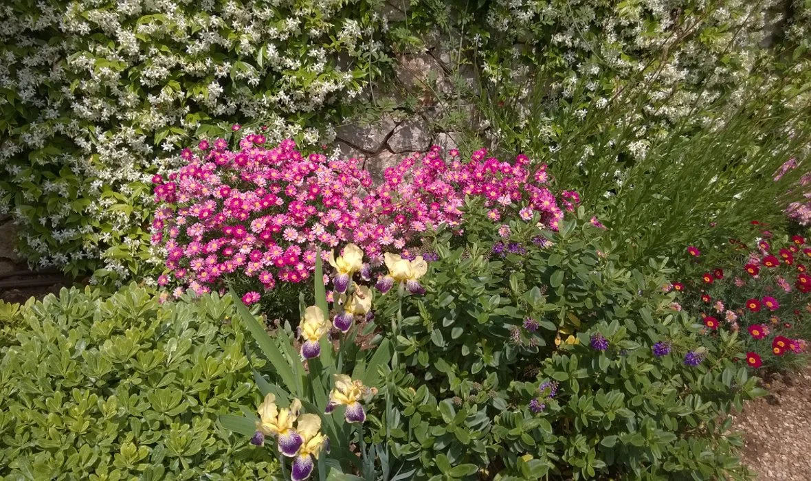8_PV Costeletos_SkoposDesign_Colourful Garden.jpg